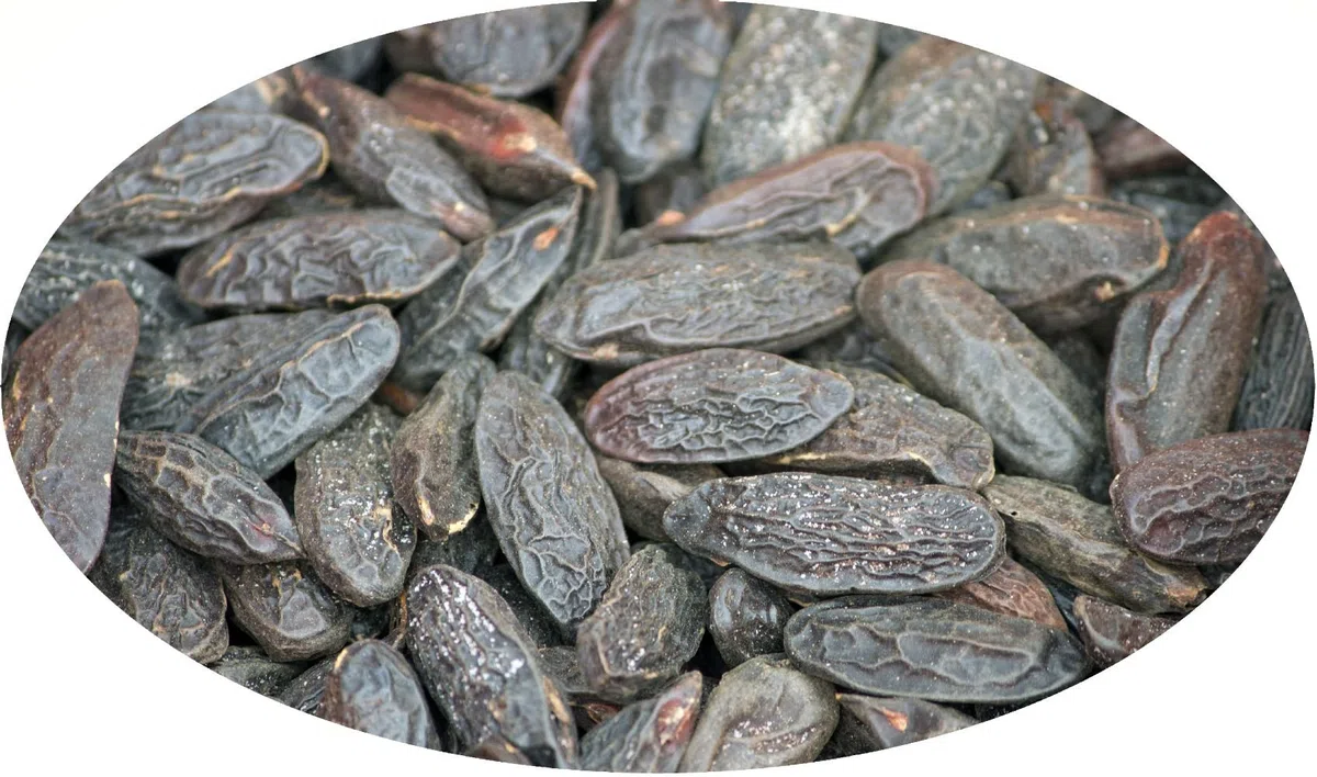 Eder Gewürze - Fava di Tonka - 1kg